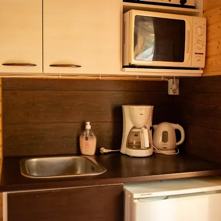 Portinvartija 2 شاليه Pouru